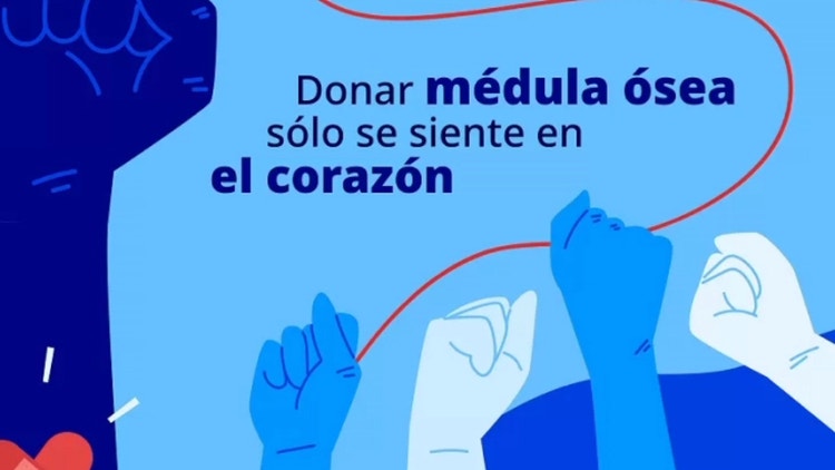 Donar Médula Ósea: ¿de qué se trata?